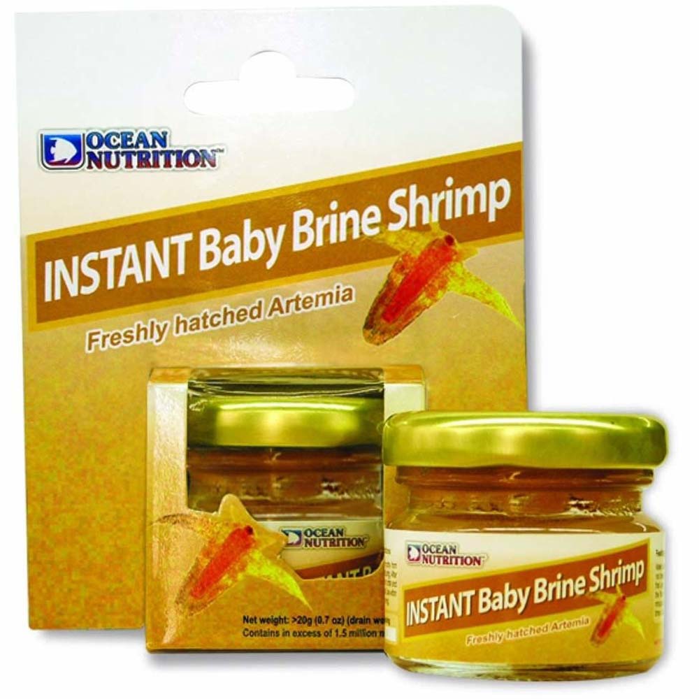 Baby_Brine_Shrimp_1000_1000